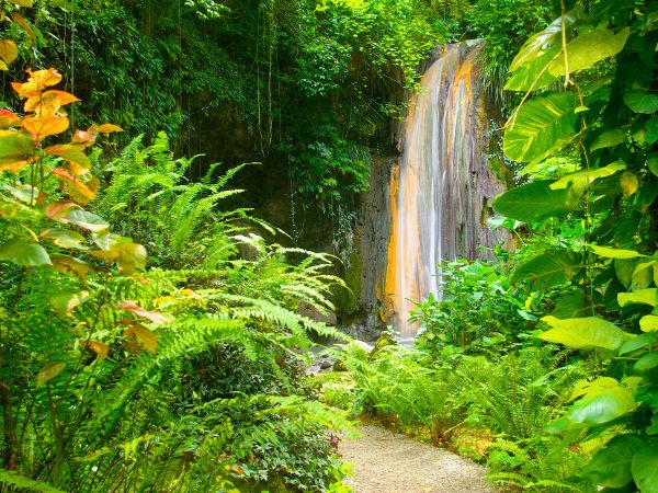 Journey Through Saint Lucia’s Lush Gardens and Historic Plantations