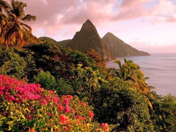 Unveiling the Beauty of Saint Lucia